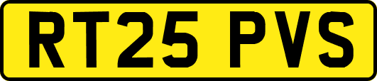 RT25PVS