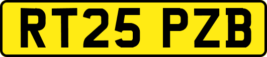 RT25PZB