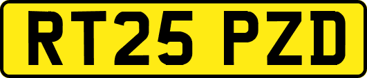 RT25PZD