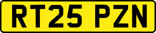 RT25PZN