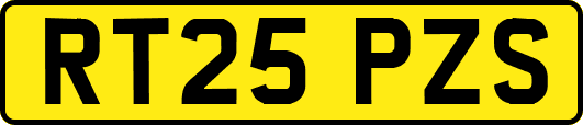 RT25PZS