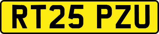 RT25PZU