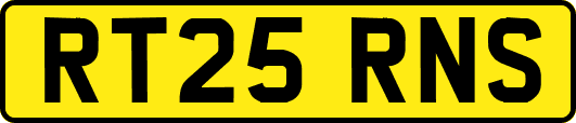 RT25RNS