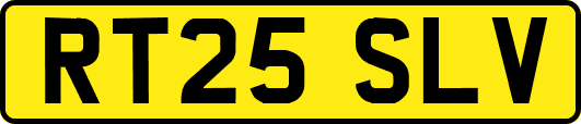 RT25SLV