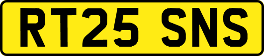 RT25SNS