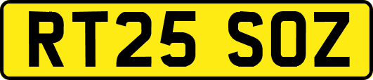 RT25SOZ