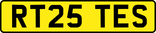 RT25TES