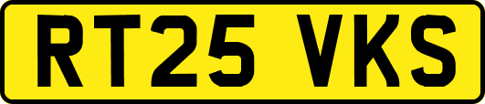 RT25VKS