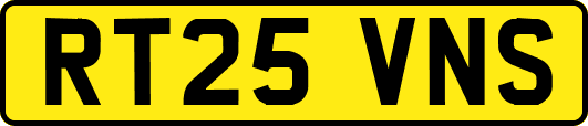 RT25VNS