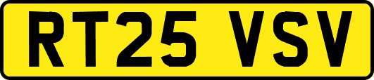RT25VSV