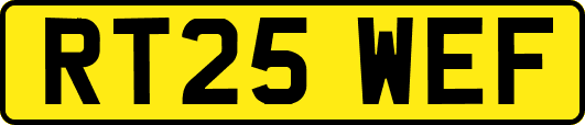 RT25WEF