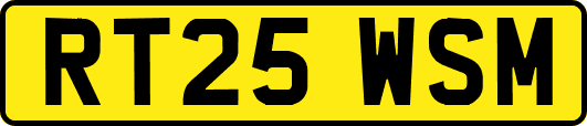 RT25WSM