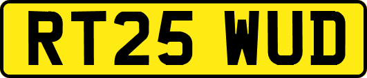 RT25WUD