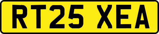RT25XEA