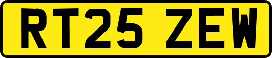 RT25ZEW