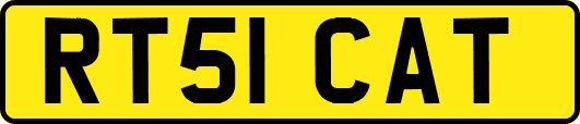 RT51CAT