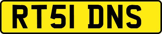 RT51DNS