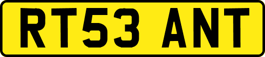 RT53ANT