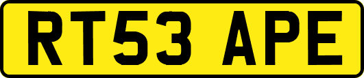 RT53APE