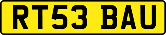 RT53BAU