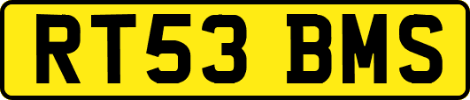 RT53BMS