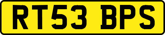 RT53BPS