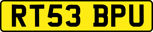RT53BPU