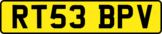 RT53BPV