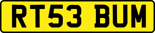 RT53BUM