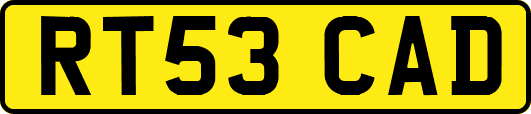RT53CAD