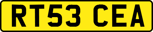 RT53CEA