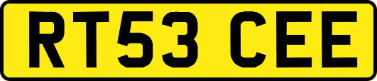 RT53CEE