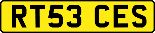 RT53CES