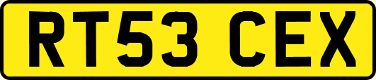 RT53CEX