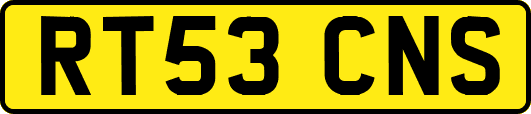 RT53CNS