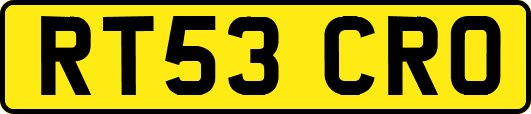 RT53CRO