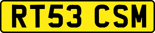 RT53CSM