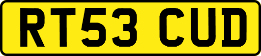 RT53CUD