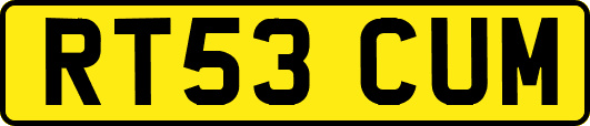 RT53CUM
