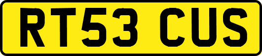 RT53CUS