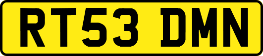 RT53DMN