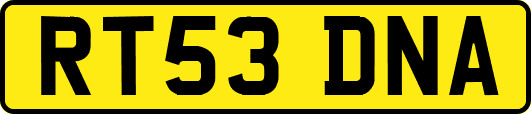 RT53DNA