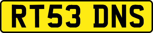 RT53DNS