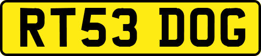 RT53DOG