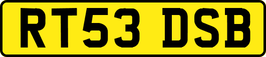 RT53DSB