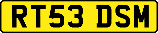 RT53DSM