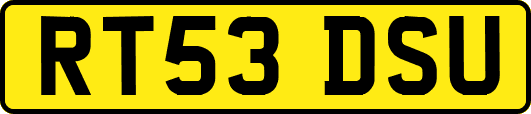 RT53DSU