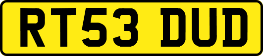 RT53DUD