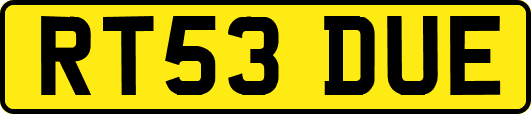 RT53DUE