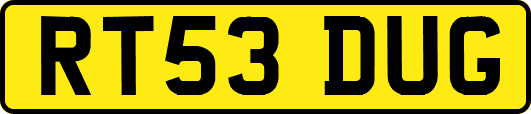 RT53DUG